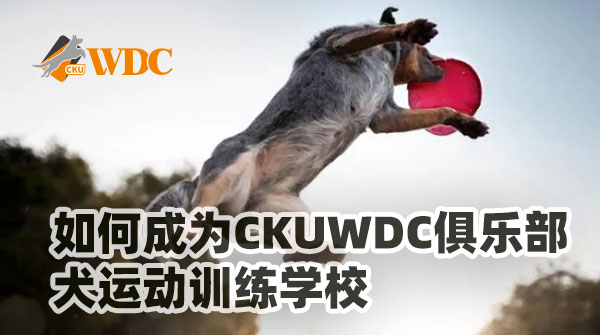 关于申请CKUWDC犬运动训练学校的条件及要求