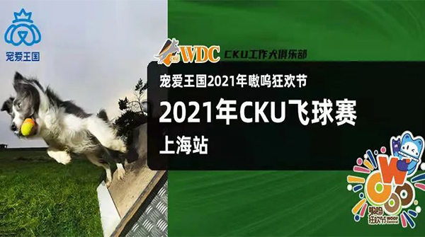 宠爱王国​2021年首届嗷呜狂欢节上海站-CKU飞球犬赛报名通知