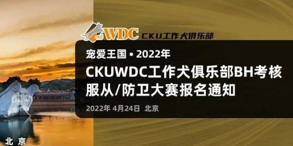 宠爱王国2022年CKUWDC北京BH考核，服从/防卫大赛报名通知