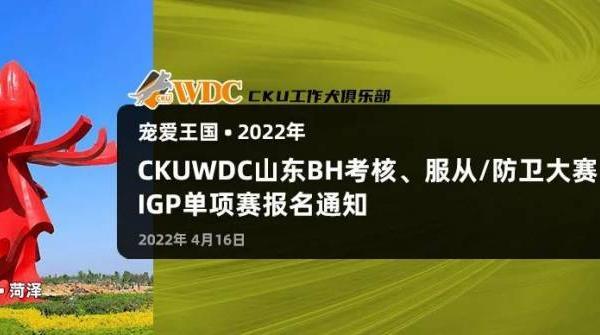 2022年CKUWDC山东BH考核，服从/防卫大赛及IGP单项赛报名通知