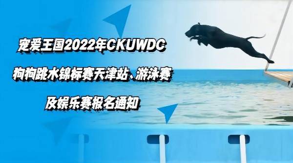 风靡世界的狗狗跳水赛来啦！宠爱王国2022年CKUWDC狗狗跳水锦标赛天津站、游泳赛及娱乐赛报名通知