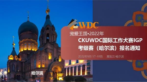 宠爱王国2022年CKUWDC国际工作犬赛IGP考级赛哈尔滨站报名通知