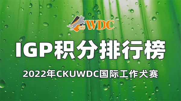 2022年CKUWDC国际工作犬赛（IGP）年度积分排行榜