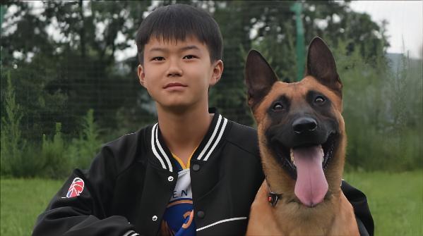 15岁年轻工作犬指导手故事-刘大源