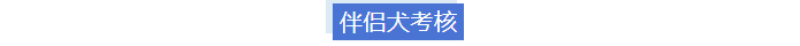 服从部分.png