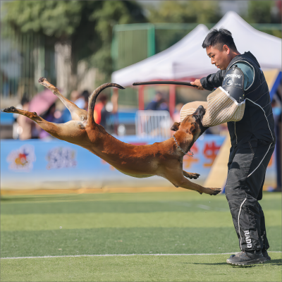 李淼