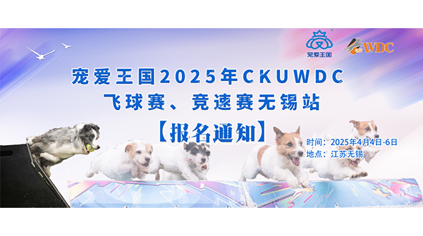 宠爱王国第八届嗷呜狂欢节-2025年CKUWDC飞球/竞速赛无锡站