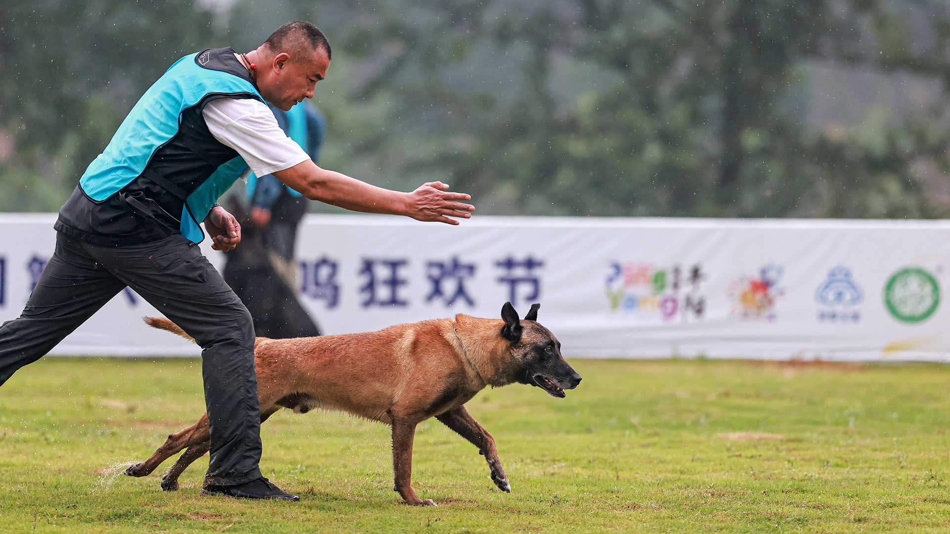 工作犬专业赛事