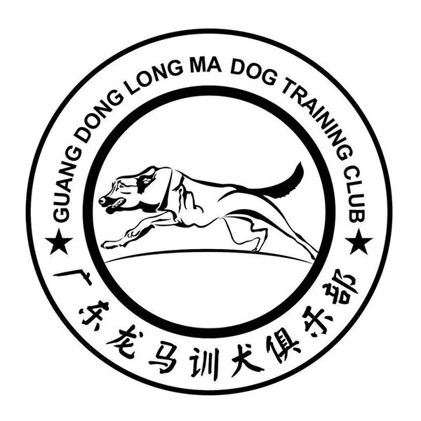 广东佛山龙马地方训练合作机构
