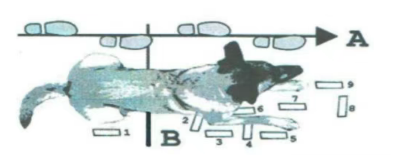 905-2.png