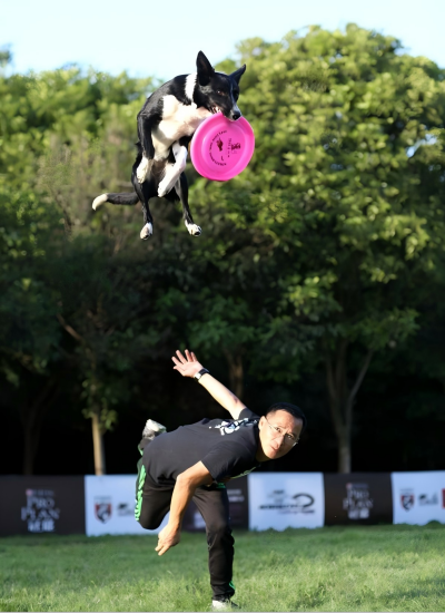 陈卫民