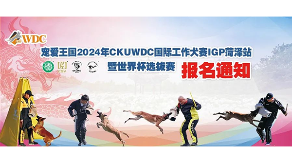 宠爱王国2024年CKUWDC国际工作犬赛IGP山东站暨世界杯选拔赛报名通知