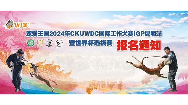宠爱王国2024年CKUWDC国际工作犬赛IGP云南站暨世界杯选拔赛报名通知