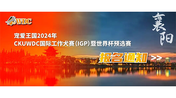 宠爱王国2024年CKUWDC国际工作犬赛IGP湖北站暨世界杯选拔赛，IGP审查员培训系列活动报名通知