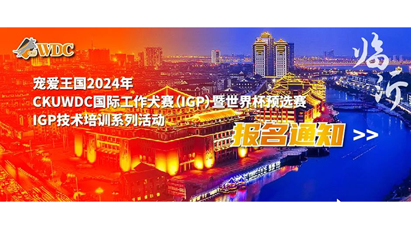 宠爱王国2023年CKUWDC国际工作犬赛IGP山东站暨世界杯选拔赛，IGP技术培训系列活动报名通知