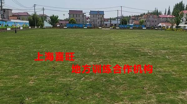 上海喜旺地方训练合作机构