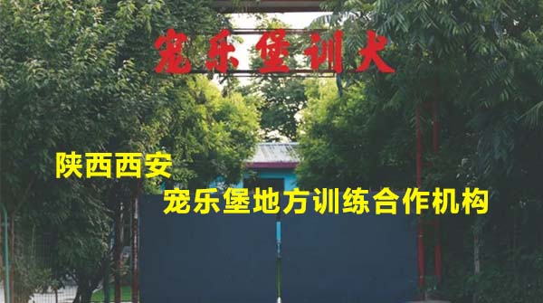 陕西西安宠乐堡地方训练合作机构