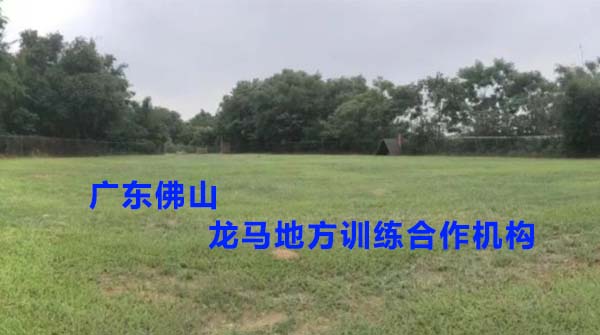 广东佛山龙马地方训练合作机构