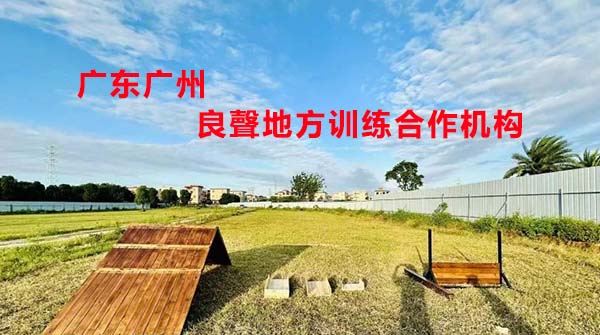 广东广州良聲地方训练合作机构