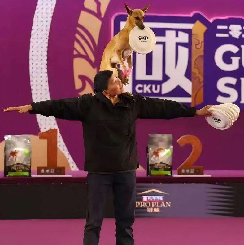 微信图片_20260113100535_342_36(1).jpg 微信图片_20260113100535_342_36(1).jpg