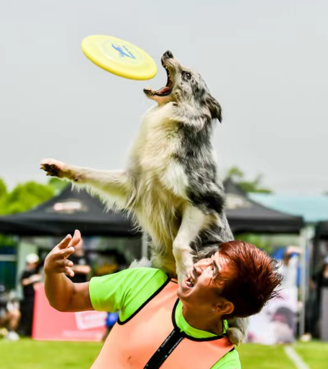 微信图片_20260113100537_345_36.png 微信图片_20260113100537_345_36.png