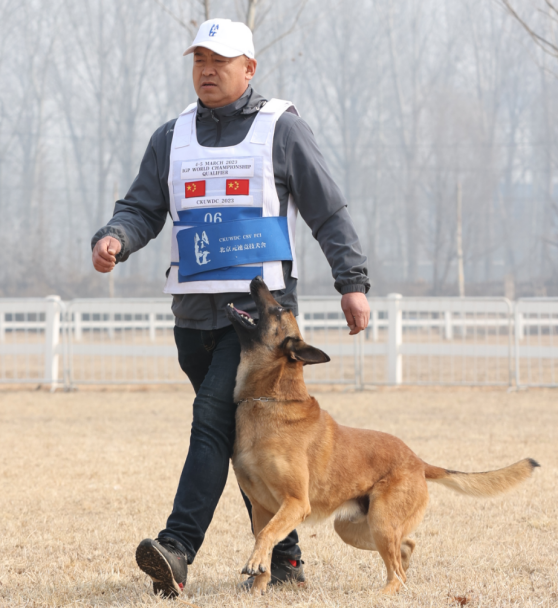 微信图片_20260114125524_472_36.png 微信图片_20260114125524_472_36.png