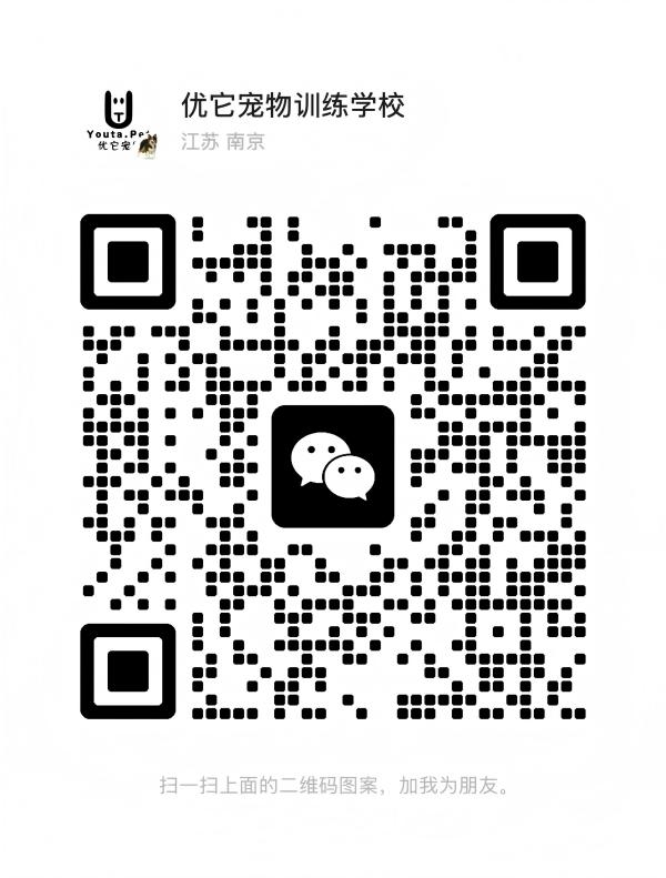微信图片_20260121150522_772_36(1).jpg