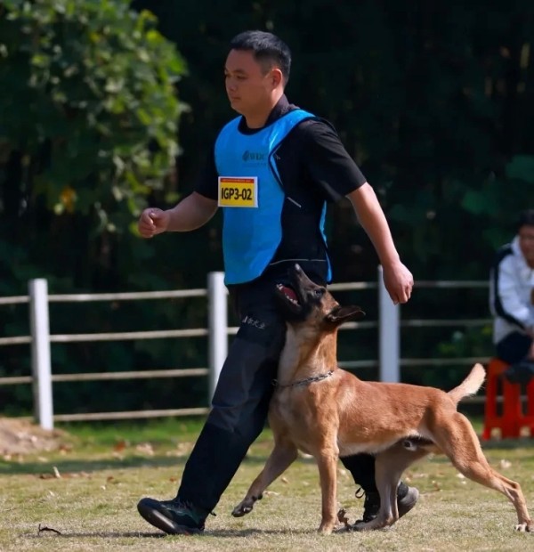 微信图片_20260123153731_880_36.jpg 微信图片_20260123153731_880_36.jpg