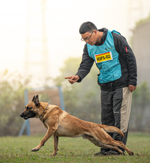 微信图片_20260123153736_885_36.png 微信图片_20260123153736_885_36.png