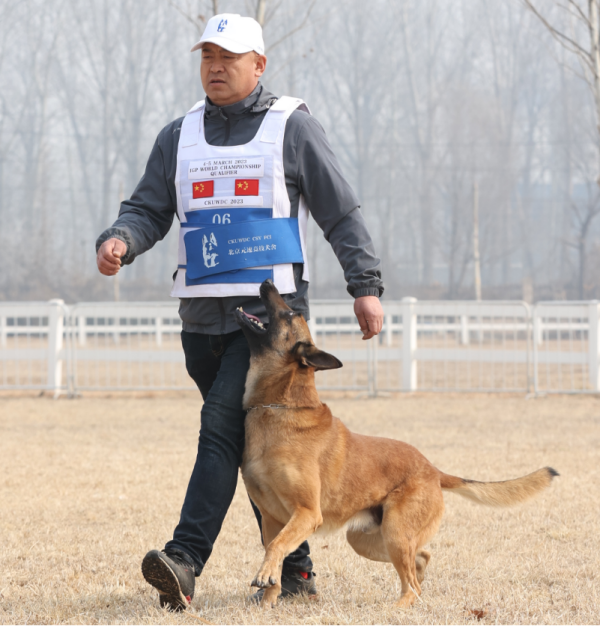 微信图片_20260123153742_891_36.png 微信图片_20260123153742_891_36.png