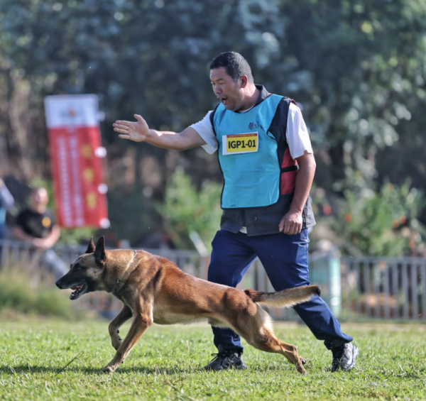 微信图片_20260123153744_892_36.png 微信图片_20260123153744_892_36.png