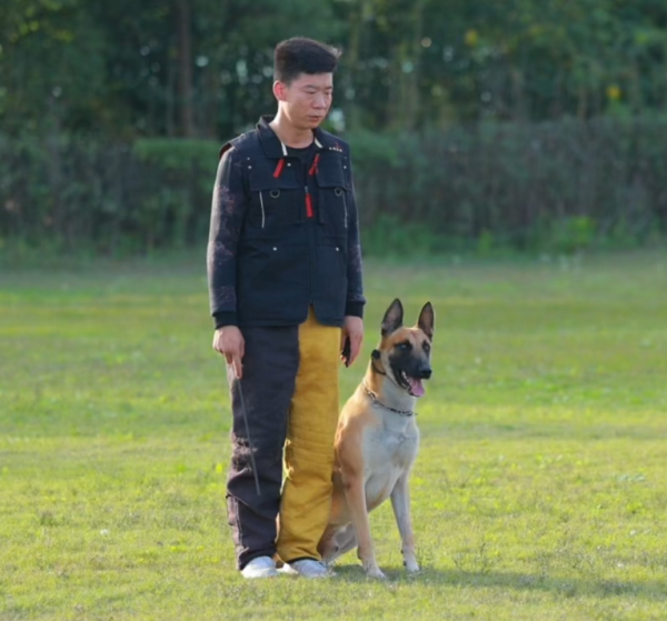 微信图片_20260123153749_897_36.png 微信图片_20260123153749_897_36.png