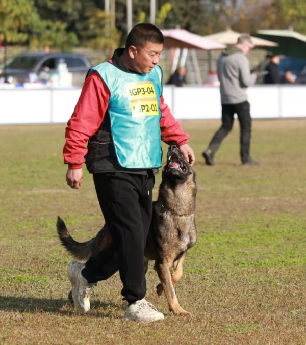 微信图片_20260123153754_901_36.png 微信图片_20260123153754_901_36.png