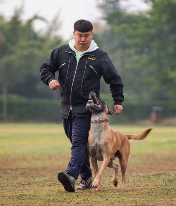 微信图片_20260123153757_904_36.png 微信图片_20260123153757_904_36.png