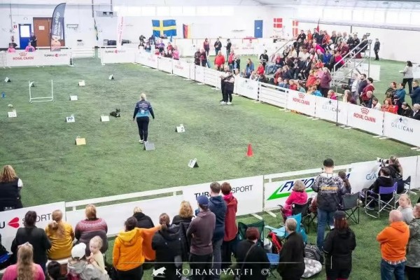 微信图片_20260126143743_1094_36.jpg 微信图片_20260126143743_1094_36.jpg