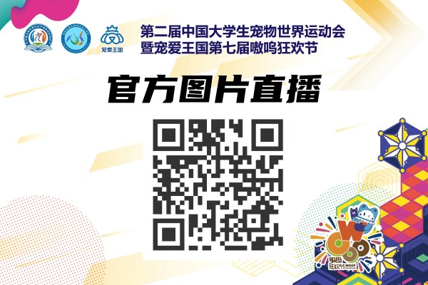 微信图片_20260127104734_1224_36.jpg