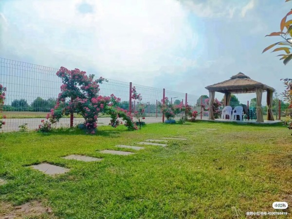 CKUWDC四川汪利吉地方训练合作机构介绍