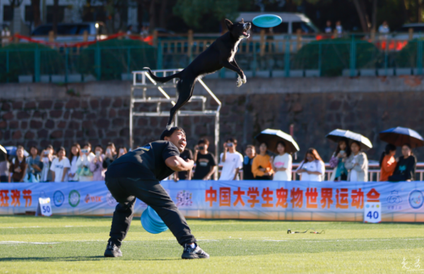 微信图片_20260128105001_1291_36.png