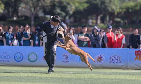微信图片_20260128105002_1292_36.png