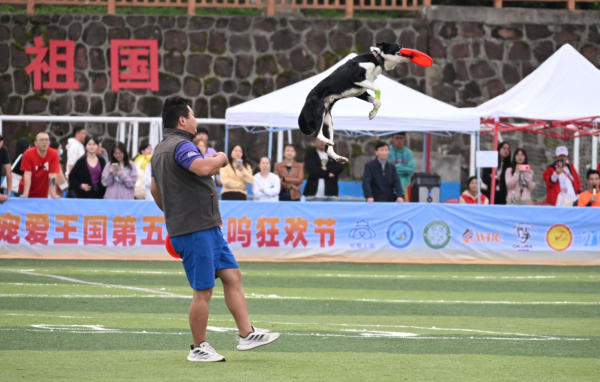 微信图片_20260128105003_1294_36.png