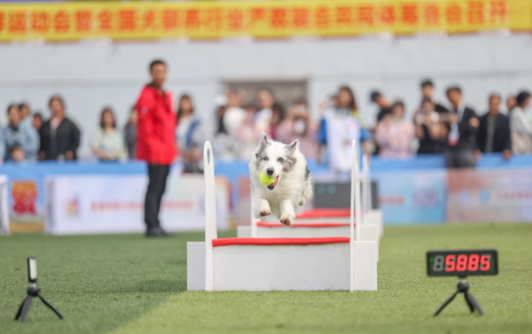 微信图片_20260128105005_1296_36.png