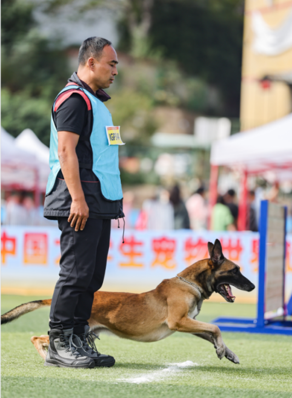 微信图片_20260128105006_1297_36.png
