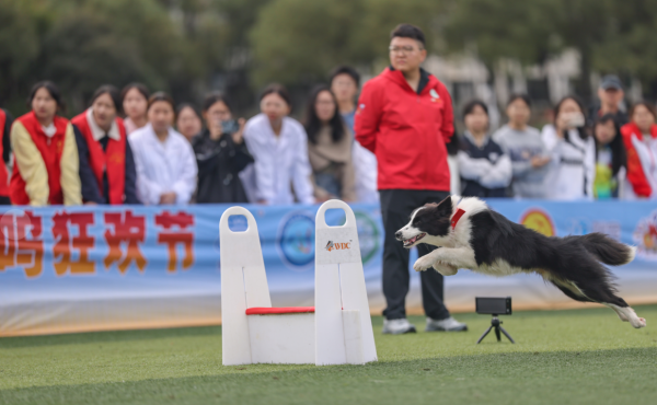 微信图片_20260128105020_1302_36.png