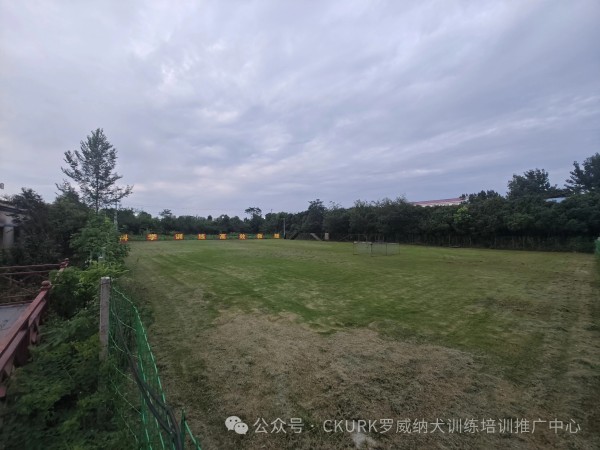 微信图片_20260129092307_1325_36.jpg 微信图片_20260129092307_1325_36.jpg