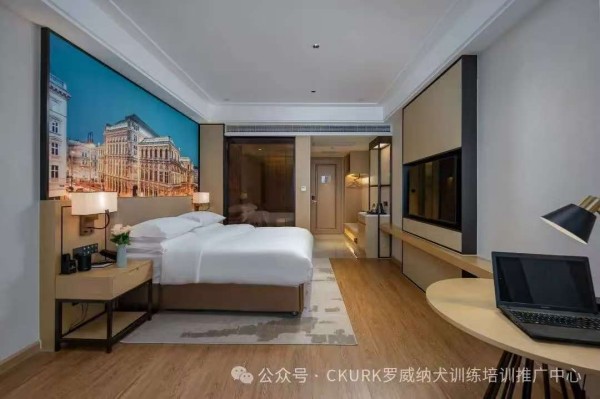 微信图片_20260129092309_1328_36.jpg 微信图片_20260129092309_1328_36.jpg