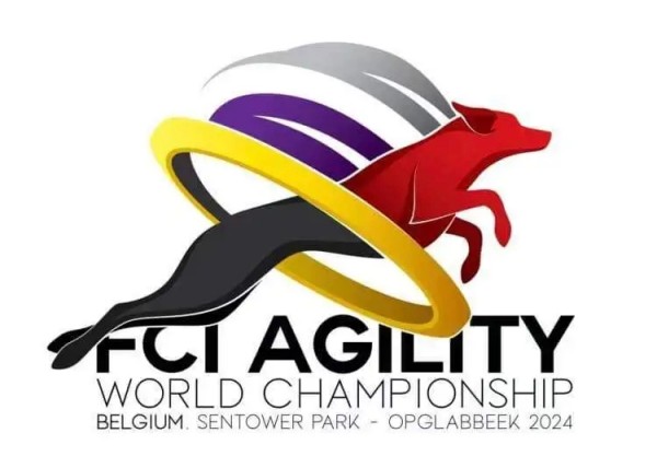 微信图片_20260130101931_1426_36.jpg 微信图片_20260130101931_1426_36.jpg