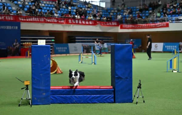 微信图片_20260130101932_1427_36.jpg 微信图片_20260130101932_1427_36.jpg