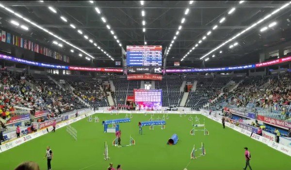 微信图片_20260130101933_1429_36.jpg 微信图片_20260130101933_1429_36.jpg