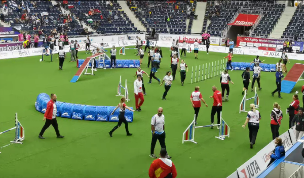 微信图片_20260130101934_1430_36.png 微信图片_20260130101934_1430_36.png