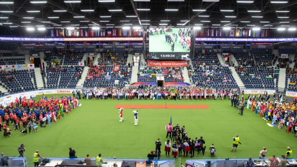 微信图片_20260130101936_1431_36.png 微信图片_20260130101936_1431_36.png